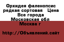 Орхидея фаленопсис редкая сортовая › Цена ­ 800 - Все города  »    . Московская обл.,Москва г.
